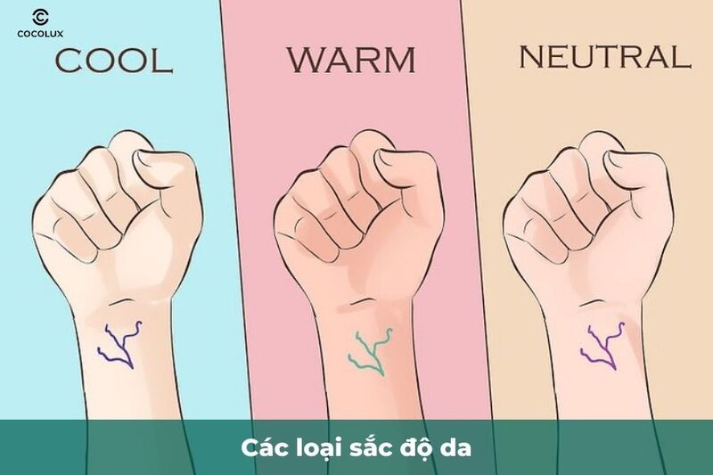 Các loại sắc độ da