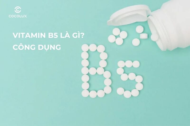 Vitamin B5 là gì? Công dụng