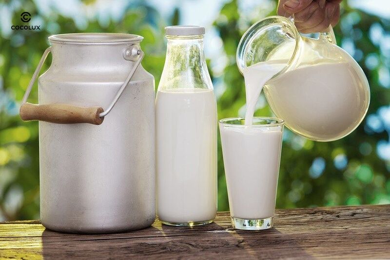 Dưỡng trắng da với sữa tươi