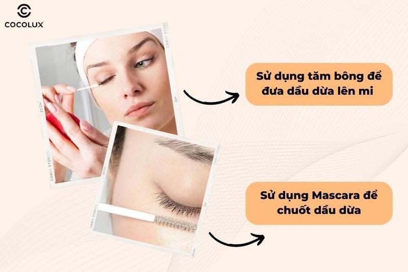 sử dụng tăm bông hoặc mascara để đưa dầu dừa lên hàng mi