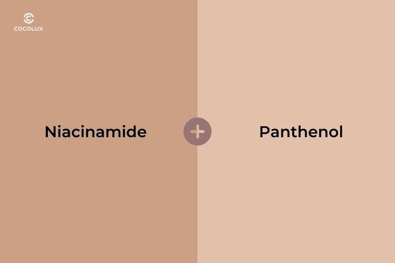 Niacinamide và Panthenol