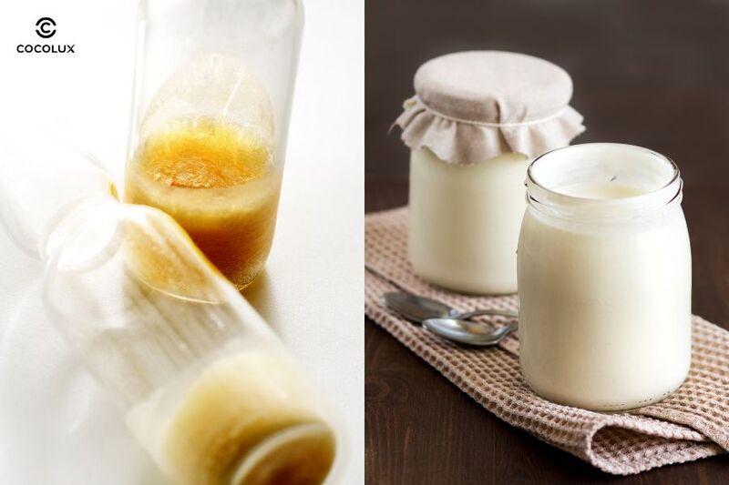 Mặt nạ từ sữa ong chúa và sữa chua không đường