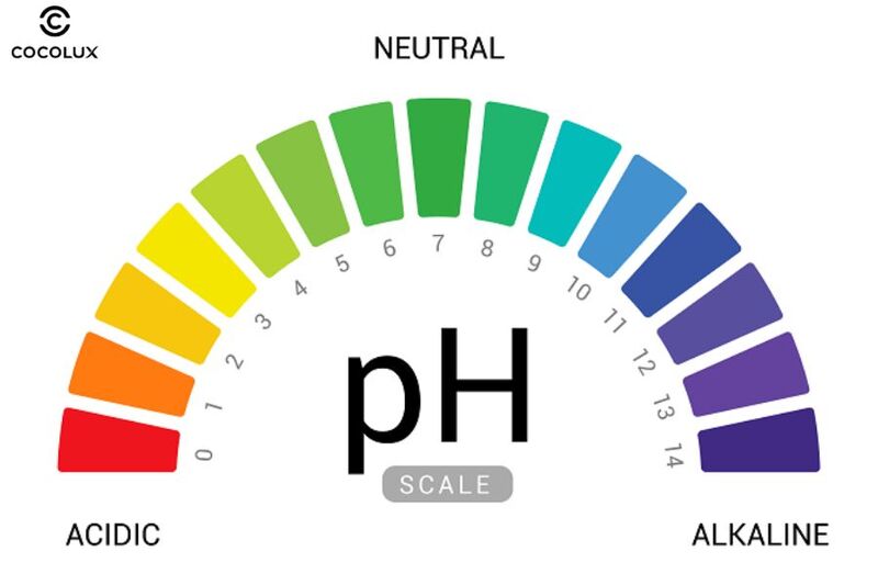 Lựa chọn dung dịch vệ sinh có độ pH phù hợp