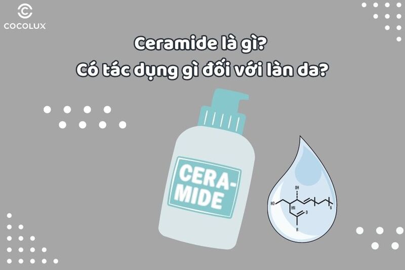 Ceramide là gì? Có tác dụng gì đối với làn da?