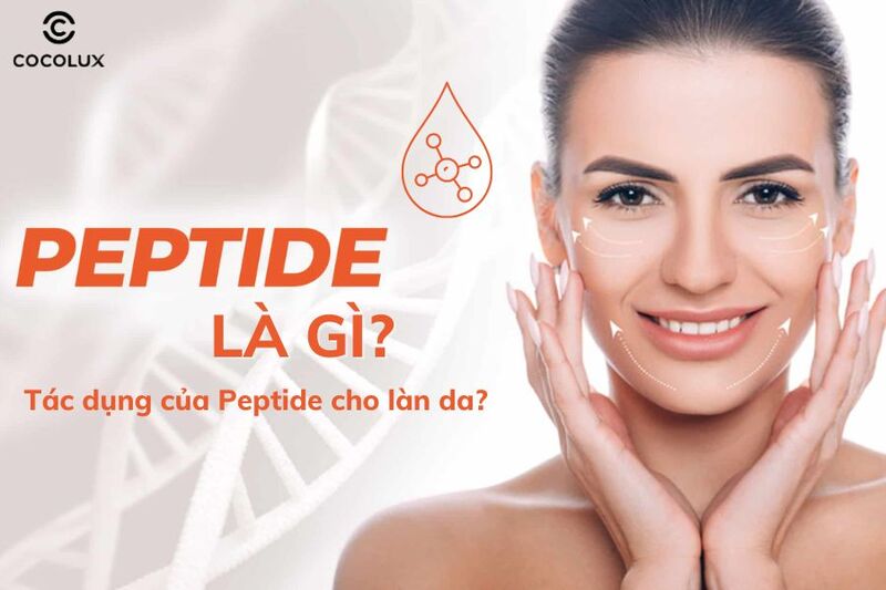 Peptide là gì? Tác dụng của Peptide cho làn da?