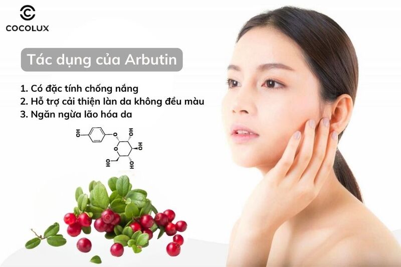 Một số tác dụng bất ngờ của Arbutin