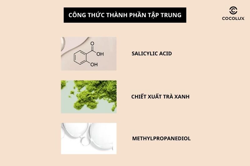 Th&agrave;nh phần