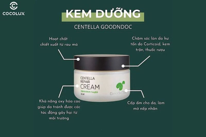 Một số công dụng tuyệt vời của kem dưỡng Rau Má mang tới cho làn da của bạn 