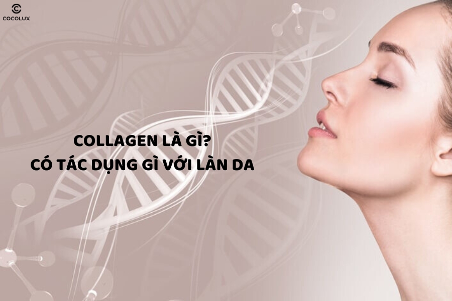Collagen là gì? Uống collagen có tác dụng gì?