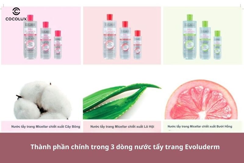 Nước tẩy trang Evoluderm Micellar Cleansing Water có các thành phần chính có nguồn gốc từ thiên nhiên
