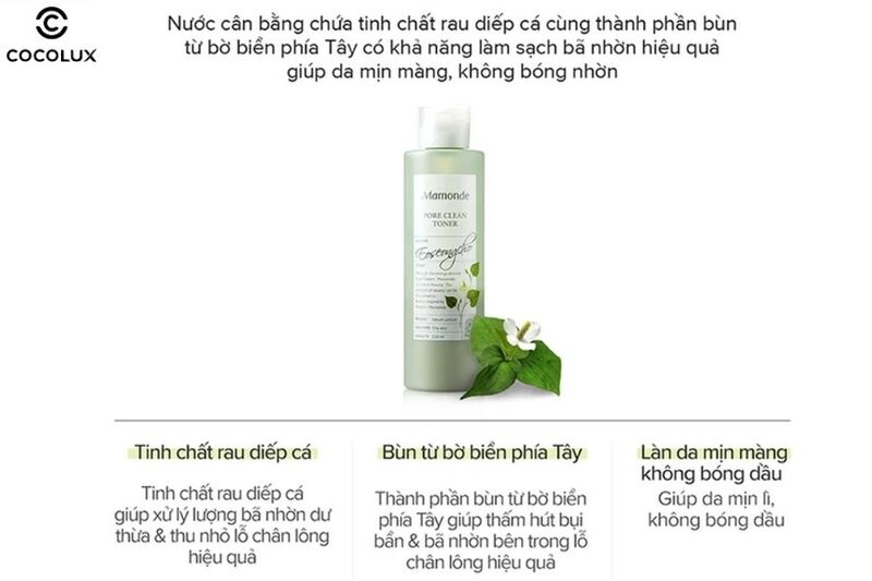 Thành phần chính của Toner Mamonde diếp cá