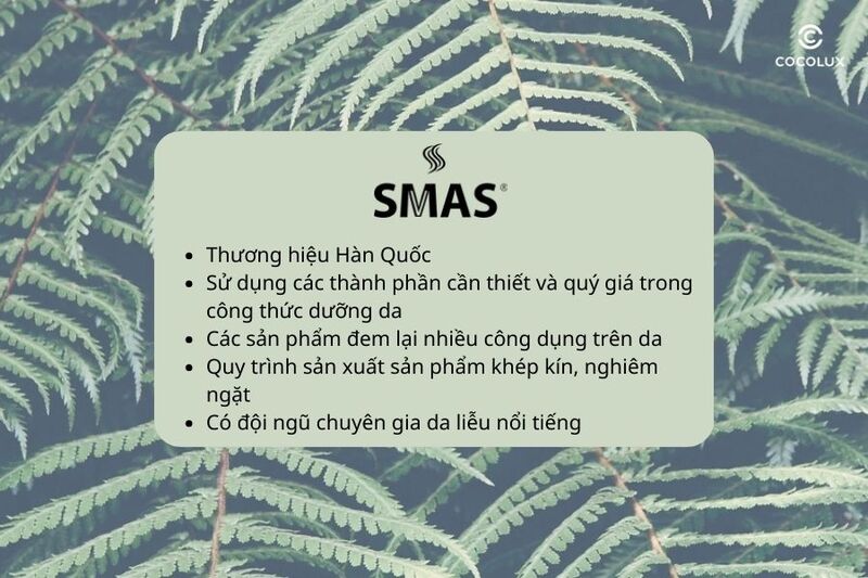 Đặc điểm của SMAS