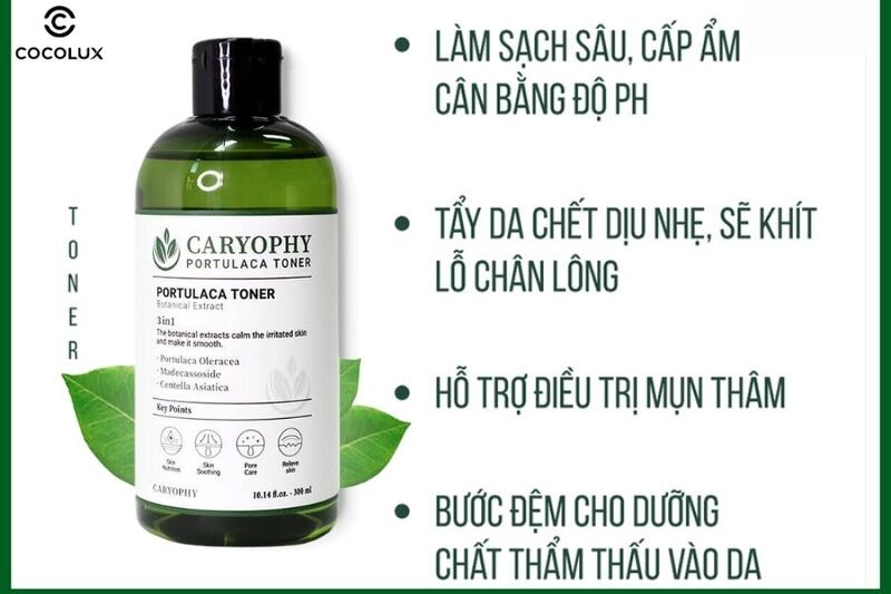 Công dụng của Toner Caryophy