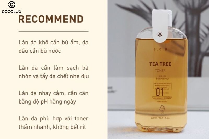 Khi n&agrave;o cần sử dụng Toner S.O.B Tea Tree