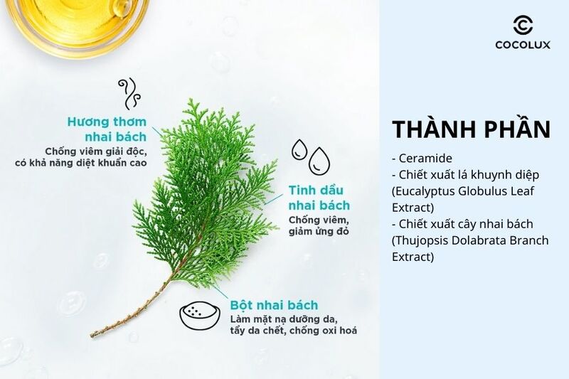 Thành phần chính của sữa chống nắng Curel cho da khô, nhạy cảm SPF30 PA+++ 30ml