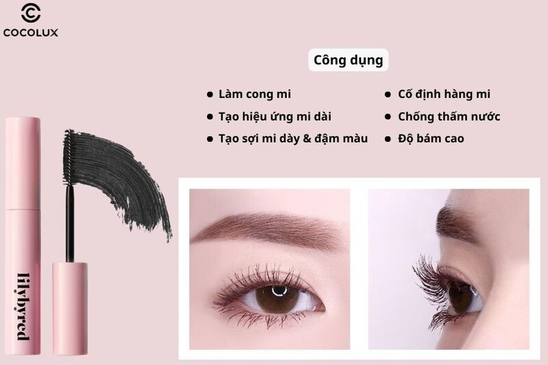 Review Mascara Lilybyred Am9 to Pm9 Survival Colorcara