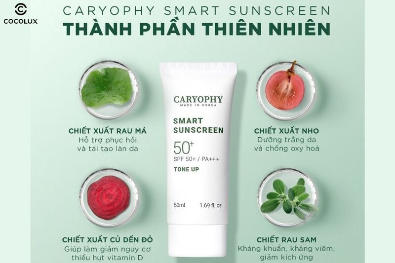 Thành phần chính của kem chống nắng Caryophy Smart Tone Up ngừa mụn 50ml 