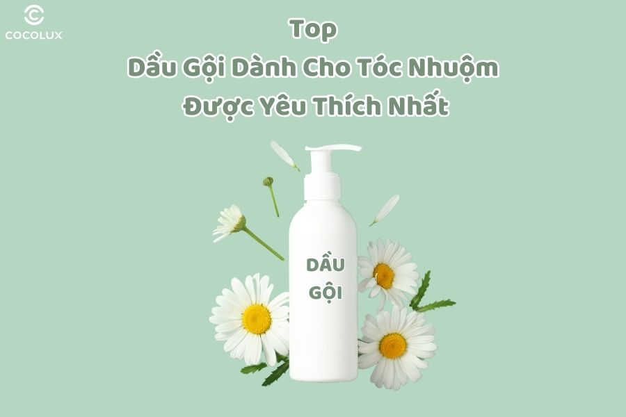 Top dầu gội dành cho tóc nhuộm được yêu thích nhất