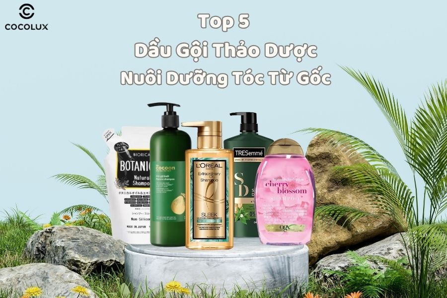 Top 5 dầu gội thảo dược nuôi dưỡng tóc từ gốc tốt nhất hiện nay