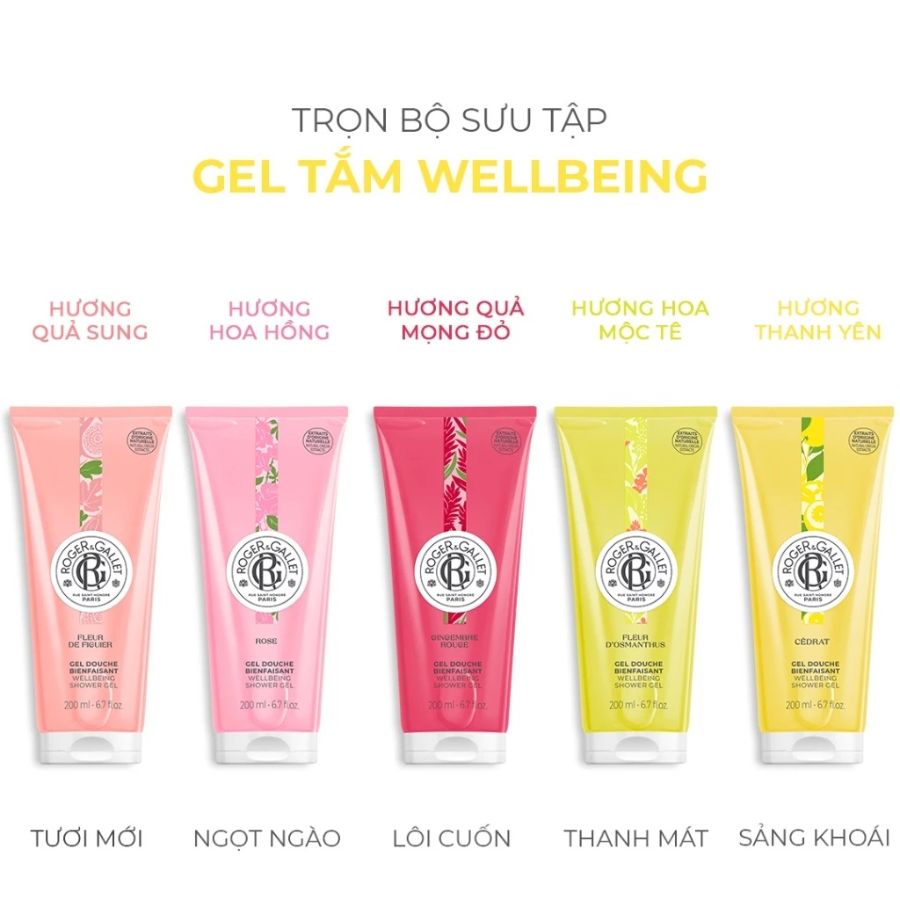 Gel Tắm Tạo Bọt Roger & Gallet Gingembre Rouge wellbeing Shower Gel 200ml