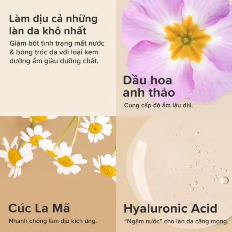 Kem Dưỡng Ẩm Paula's Choice Giúp Da Săn Chắc Mịn Màng 60ml