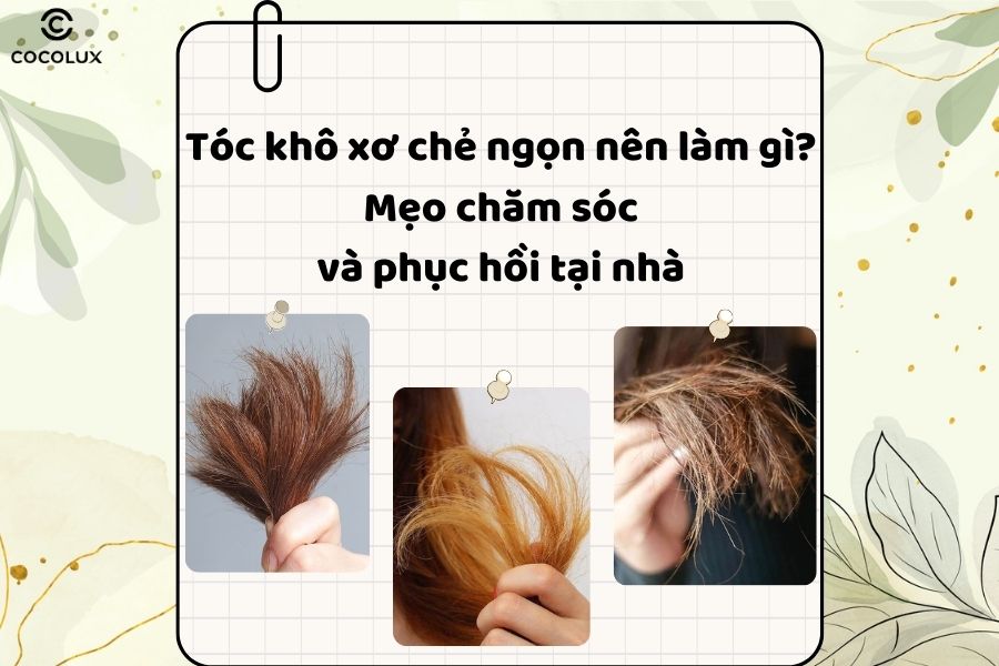 Tóc khô xơ chẻ ngọn nên làm gì? Mẹo chăm sóc và phục hồi tại nhà