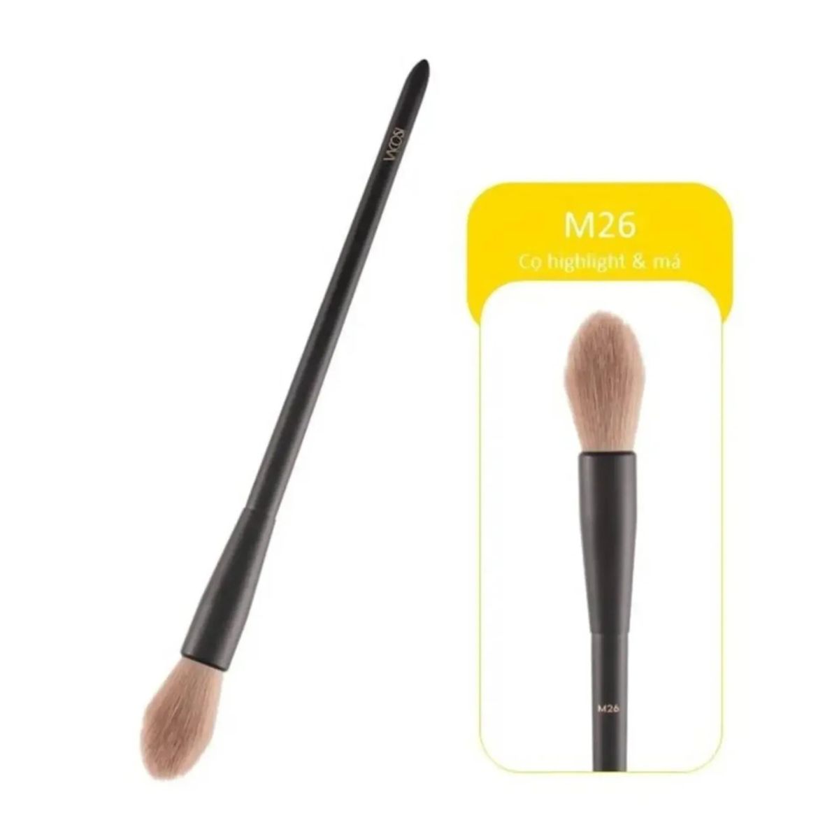 Cọ Highlight & Má Vacosi M26