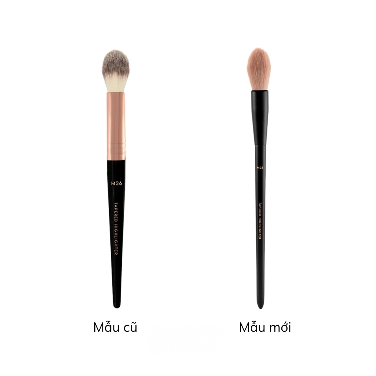 Cọ Highlight & Má Vacosi M26