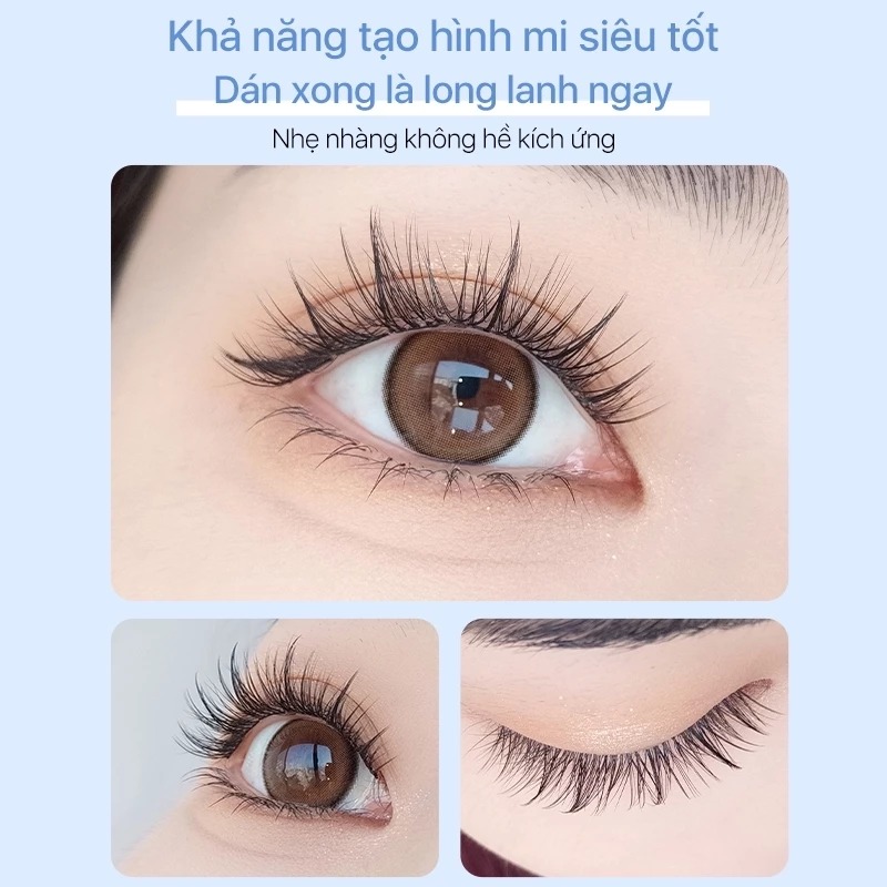 Mi Giả Mlen Diary Mi Hướng Dương Bản Thường (Hộp To)