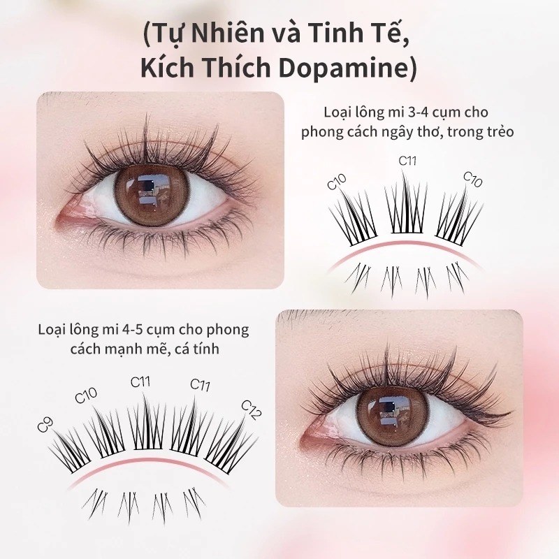 Mi Giả Mlen Diary Kiểu Hướng Dương (Hộp To)