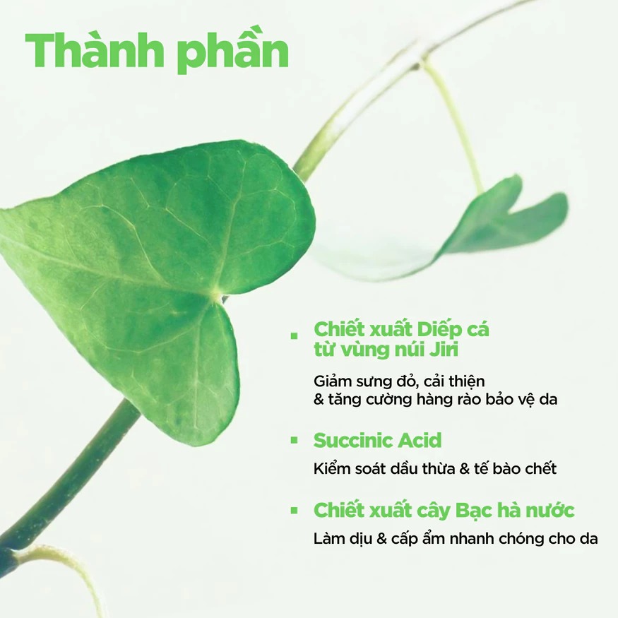 Tinh Chất Abib Chiết Xuất Diếp Cá Làm Dịu Da Heartleaf Essence Calming Pump 50ml