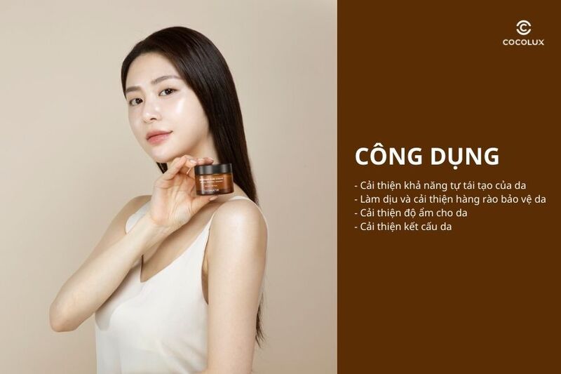 Công dụng của kem dưỡng Dermatir Rosemary Pure Cream 50ml