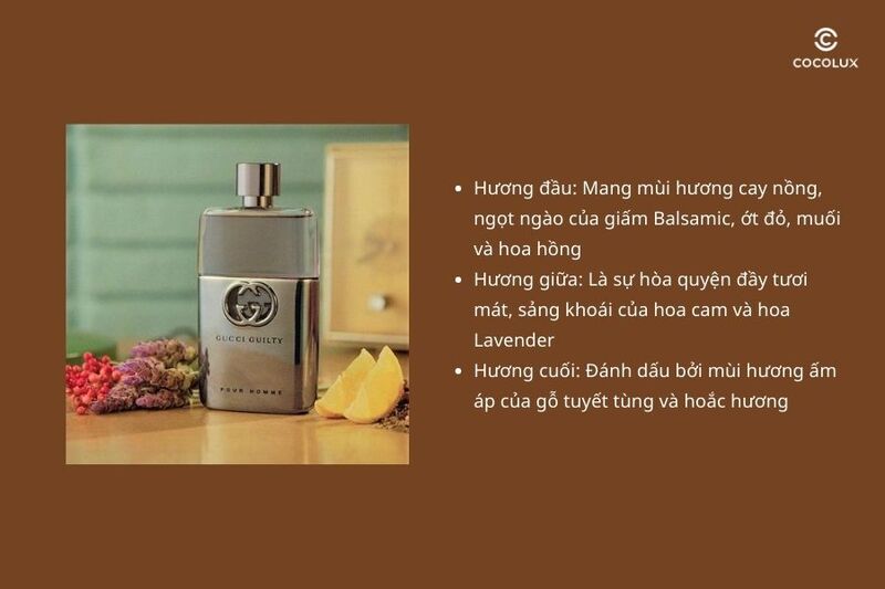 Cấu trúc 3 tầng hương thơm của nước hoa Gucci Guilty Pour Homme