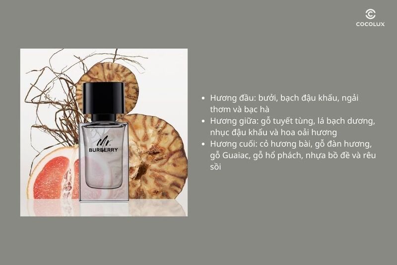 Cấu tr&uacute;c 3 tầng hương thơm của nước hoa Mr. Burberry EDT