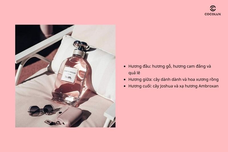 Cấu tr&uacute;c 3 tầng hương thơm của nước hoa Coach Dreams EDP