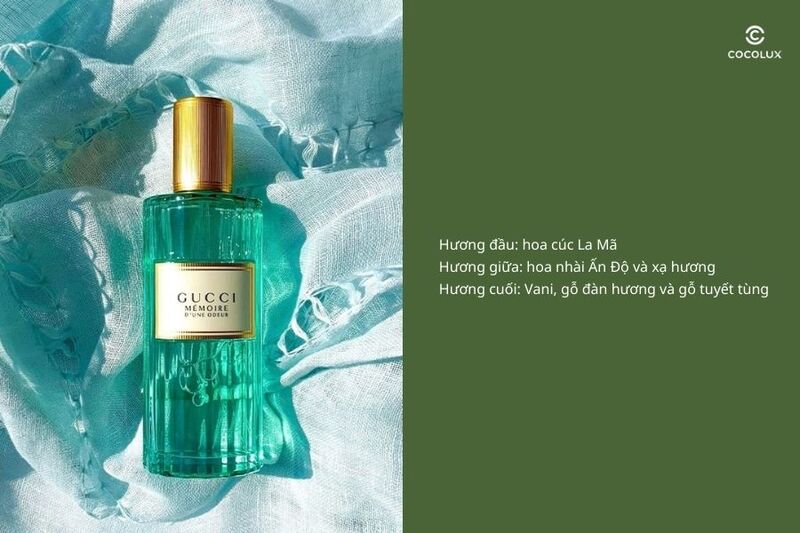 Cấu tr&uacute;c 3 tầng hương thơm của nước hoa Gucci Memoire Diune Odeur EDP