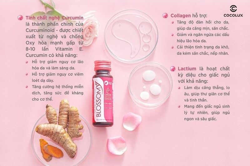 Th&agrave;nh phần ch&iacute;nh của thực phẩm bảo vệ sức khỏe Blossomy nghệ Collagen