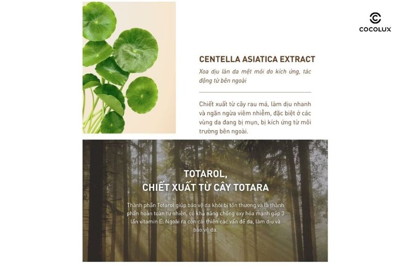 Thành phần của kem dưỡng S.O.B Tea Tree Cream (3)