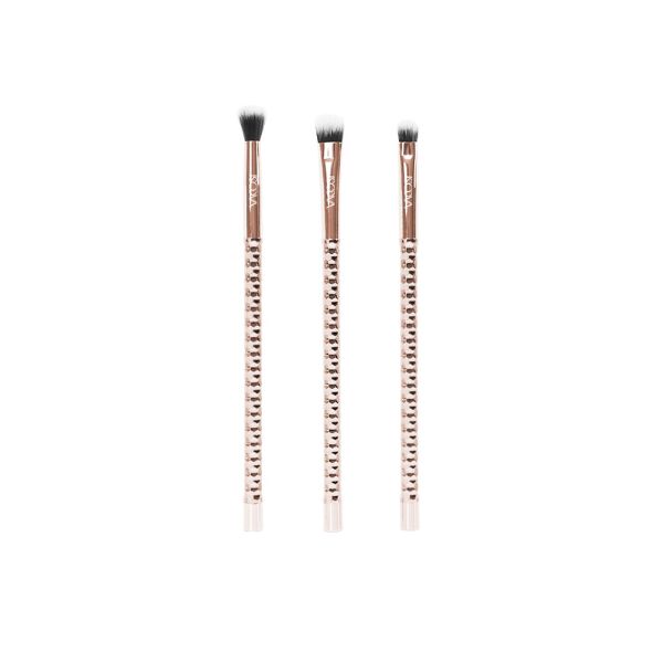 Bộ Cọ Vacosi Phiên Bản Golden Dragon - SC02 Set 3 Cọ Mắt
