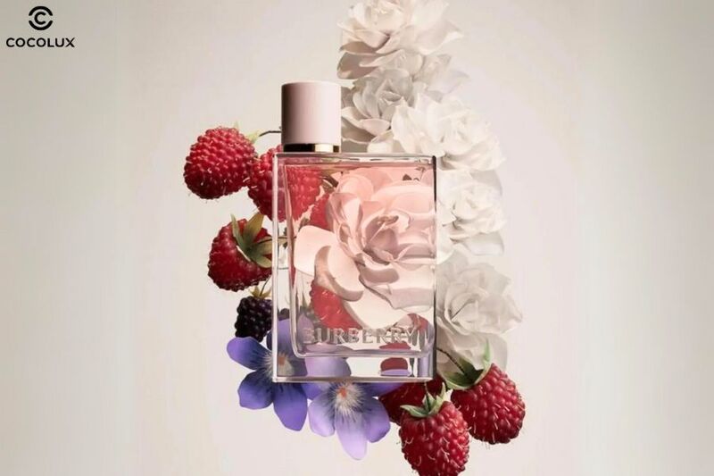 Các nốt hương của nước hoa Burberry Her EDP