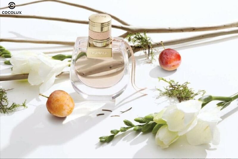 C&aacute;c nốt hương độc đ&aacute;o của nước hoa Chloe Nomade EDP