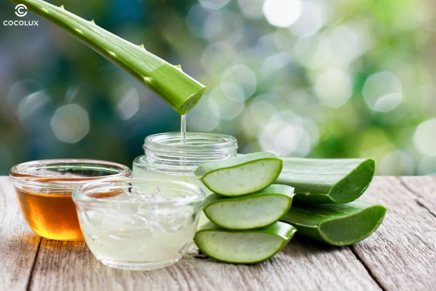 Nha đam và mật ong là bộ đôi lý tưởng để dưỡng tóc khô xơ, giúp tóc mềm mại và chắc khỏe