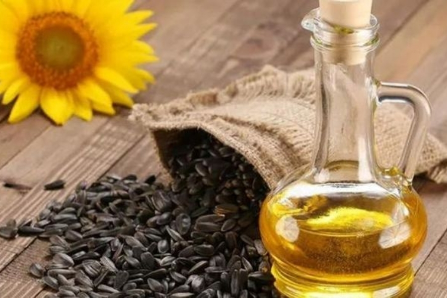 Trị thâm nách tại nhà bằng dầu hướng dương