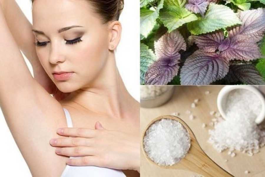 Trị thâm nách tại nhà bằng lá tía tô