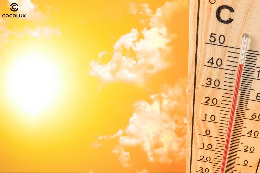 Nắng n&oacute;ng, bụi bẩn khiến da đầu đổ nhiều dầu hơn