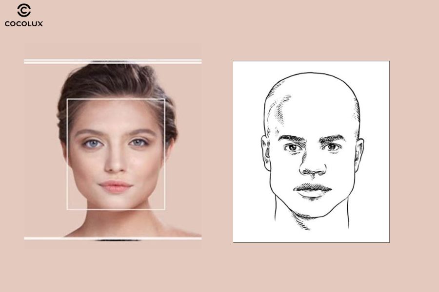 Khuôn mặt vuông với đường viền hàm rõ nét