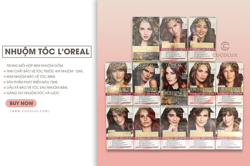 Thuốc Nhuộm Tóc LOREAL 1 Natural Black