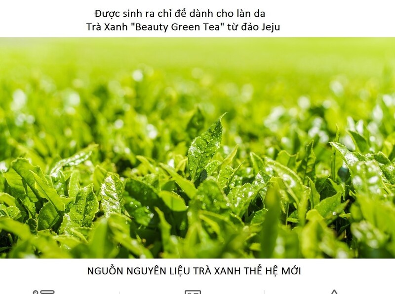 Dầu Tẩy Trang Innisfree Green Tea Cleansing Oil 150ml