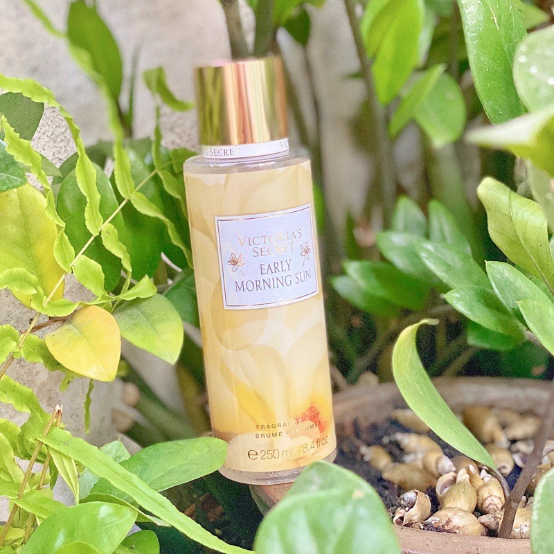 Xịt Thơm Body Victoria's Secret - Early Morning Sun 250ml