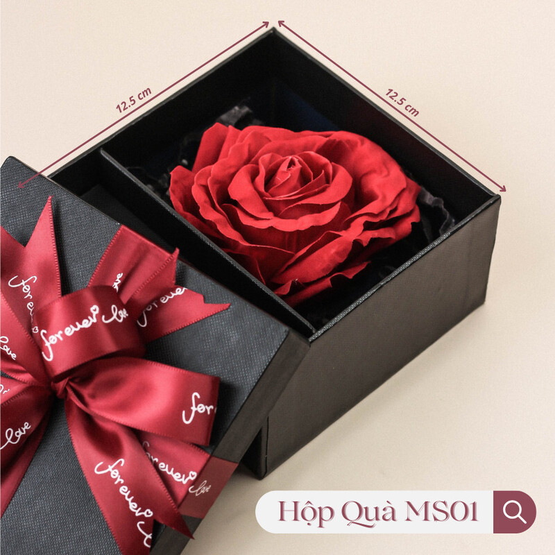 Hộp Quà Đen Nơ Đỏ MS01
